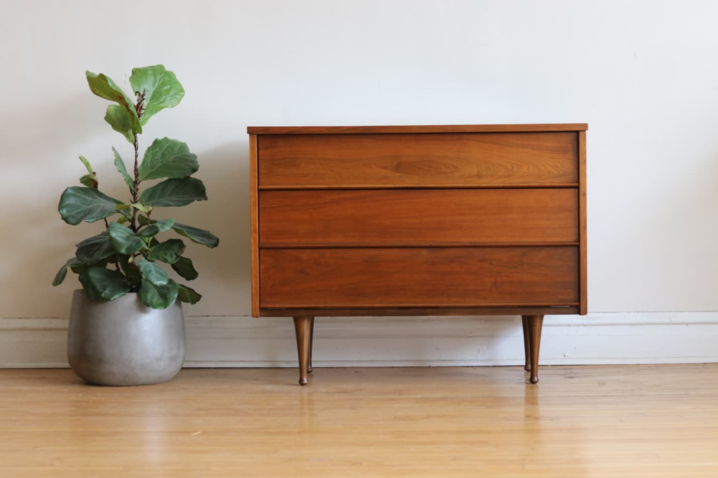 Shop What’s New in Bazaar Apartment Therapy